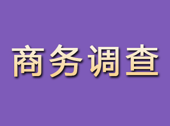 顺平商务调查