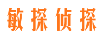 顺平外遇调查取证